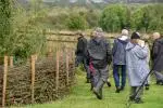hedgerow safari 