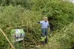 Richard Markham Hedge Laying Mount Briscoe Hedgerow Fest 2025 Image 3