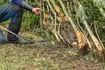 Richard Markham Hedge Laying Mount Briscoe Hedgerow Fest 2025 Image 2