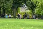 Yoga at Mount Briscoe
