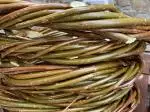 Willow Wreath Workshop