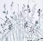 Melissa Cherry art image