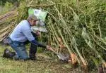 Richard Markham Hedge Laying Mount Briscoe Hedgerow Fest 2025 Image 1